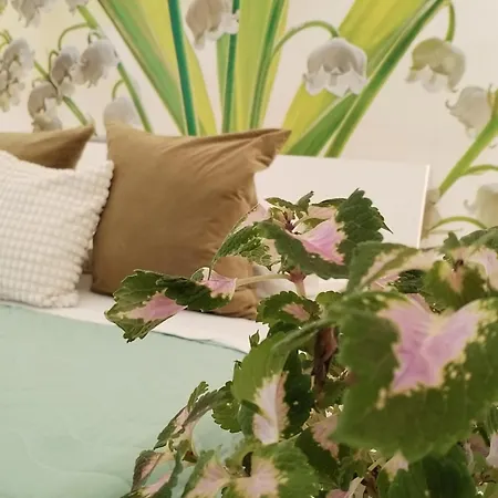 Apartament Natural Mente Pompeja