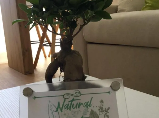 Natural Mente Apartament Pompeja