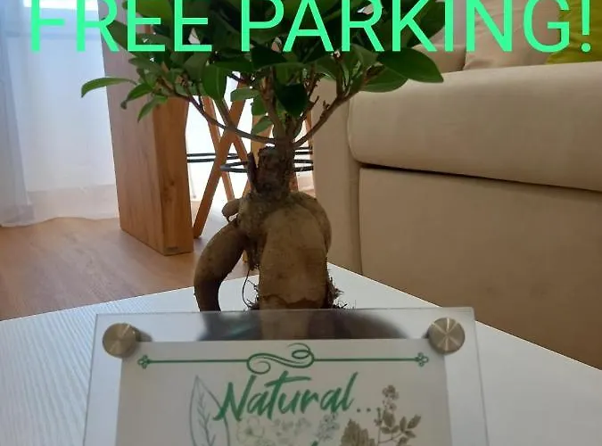 Natural Mente * Pompeja