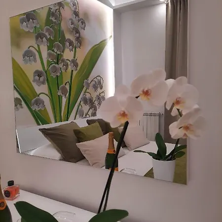 Apartamento Natural Mente