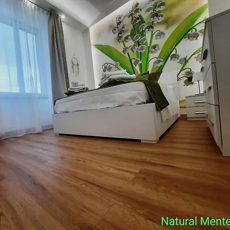 Natural Mente Apartment