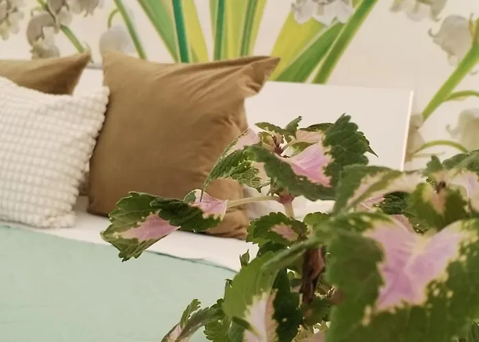 Apartment Natural Mente Pompei